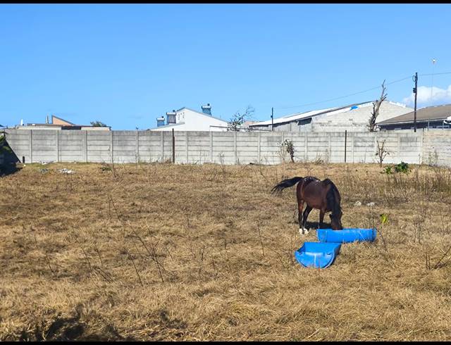 1,129M² VACANT LAND FOR SALE IN SCHAAPKRAAL